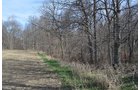 Property photo 128 - REAL ESTATE & PERSONAL PROPERTY AUCTION, 140 Acres offered in 8 Tracts or Combinations in Steuben County
